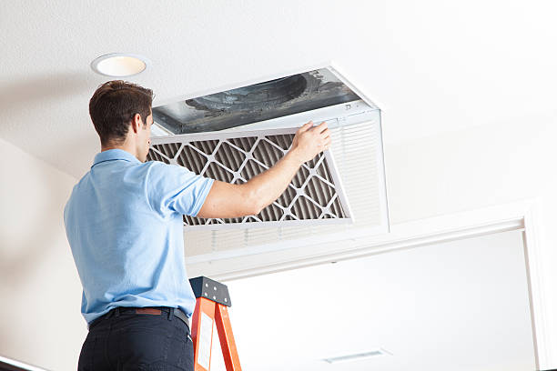 Best Affordable HVAC Services  in Mount Morris, IL